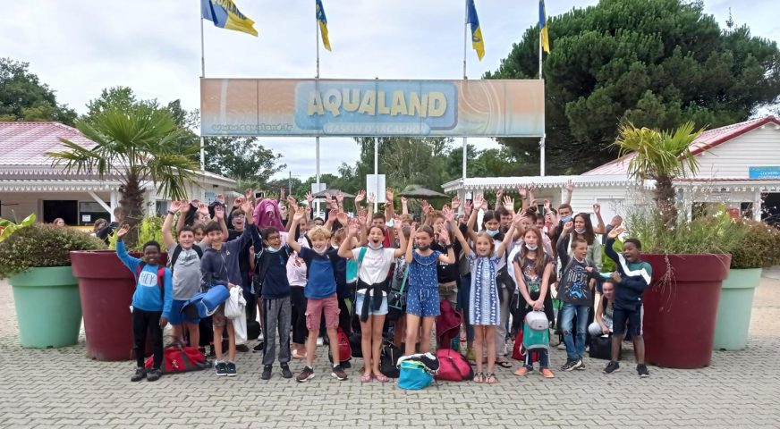 467692008 1700353307480940 4654055809404693540 N