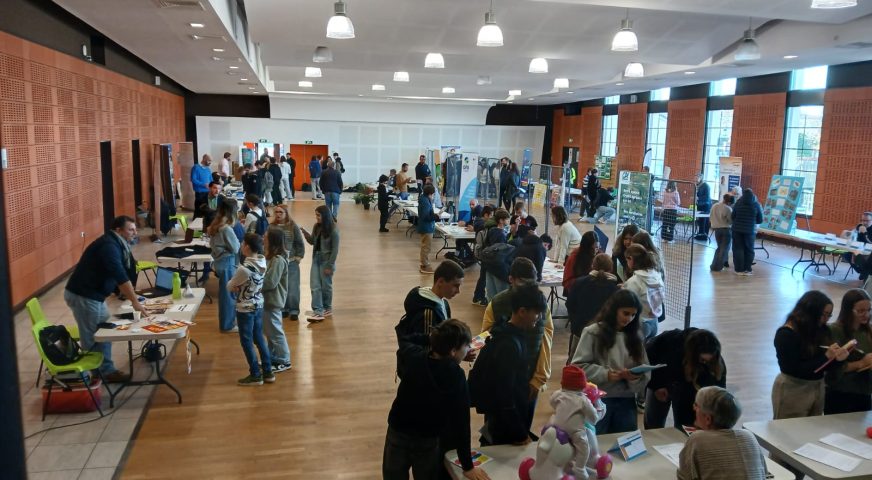 IMG 20241118 WA0005(1)