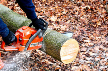 Un bûcheron coupe un arbre à l'aide d'une tronçonneuse, dans les bois.