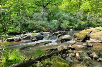 Sortie Nature – Découverte de la vallée de l’Issoire