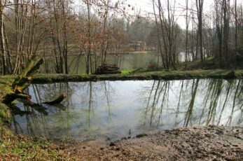 Chantier participatif autour des mares