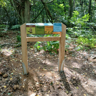 Sentier Sur L'arbre Et La Haie 1
