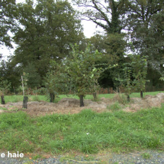 Visite Mfr Cetef 2024 10 03 (9)