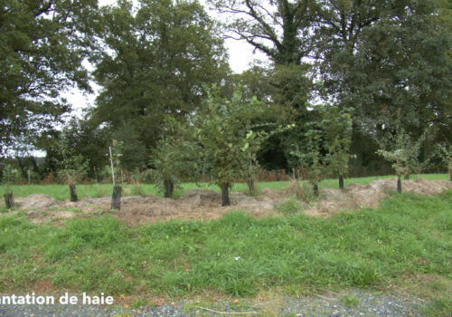 Quelques définitions 