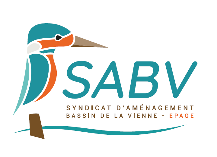 logo sabv